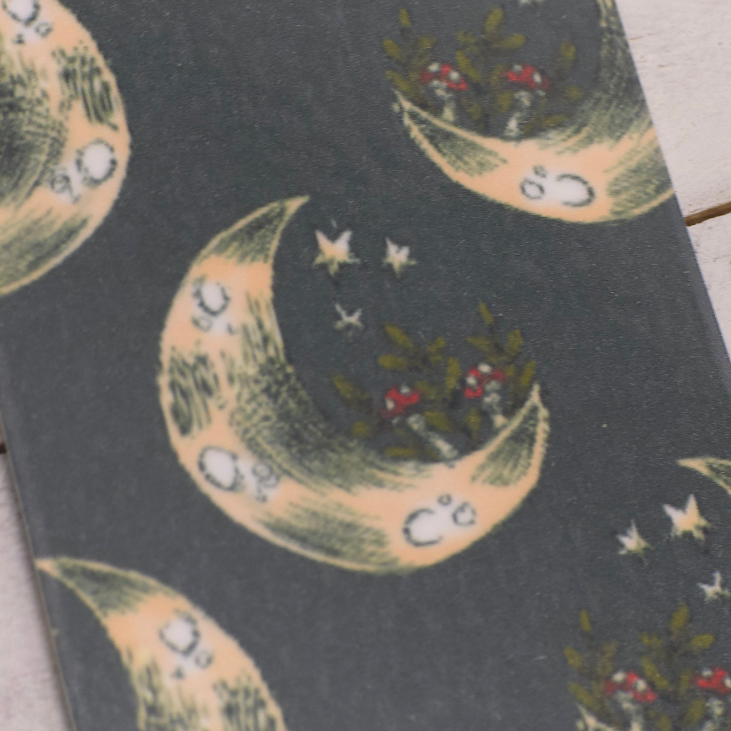 Bookmark Mushrooms on the Moon